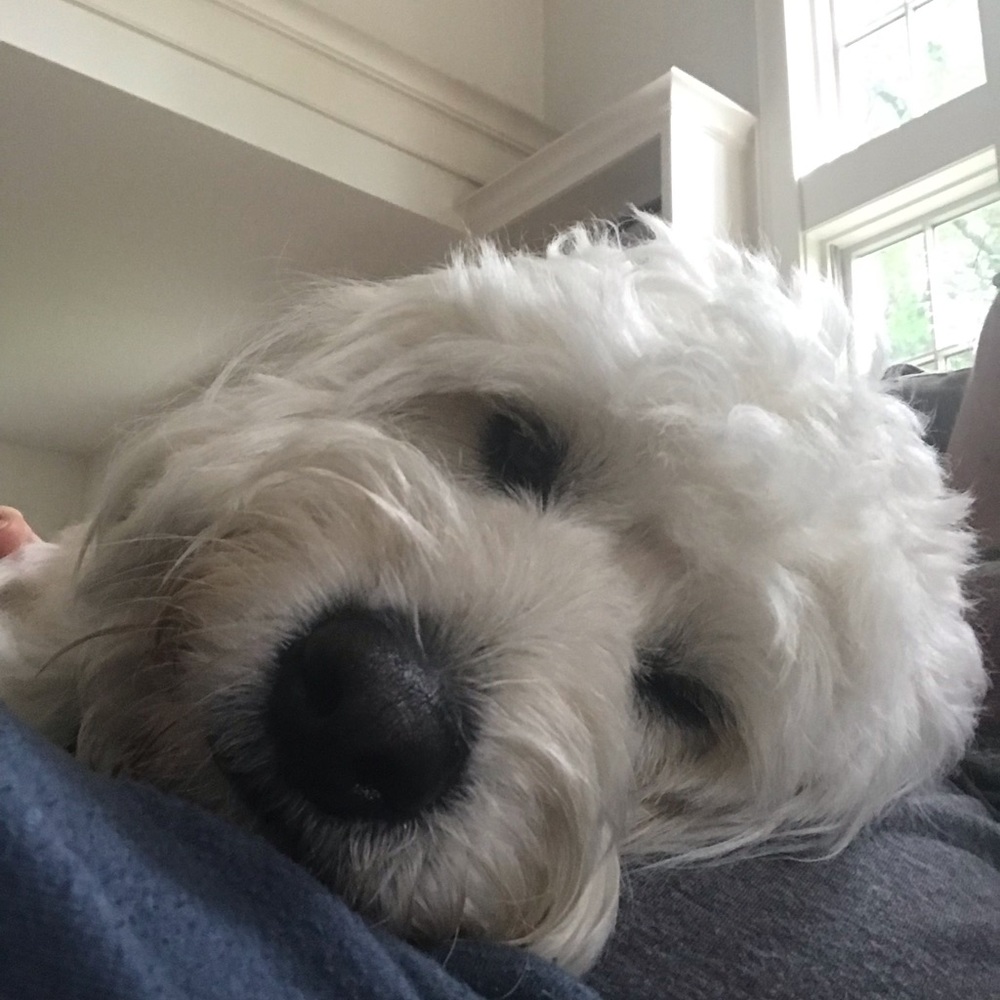 Meet your Posher, Carolyn